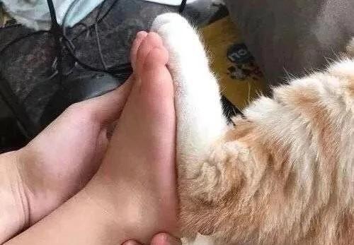 大学生兼职可以做什么线上