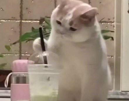 大学生兼职可以做什么线上