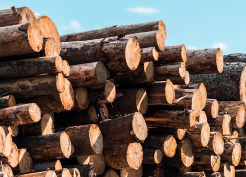 鸡翅木家具的优缺点总结