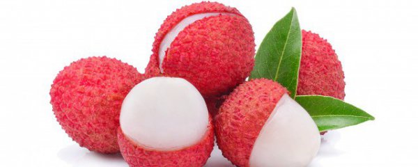 适合盆栽的品种荔枝有哪些