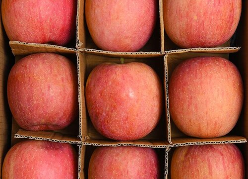 搬家买几个苹果吉利