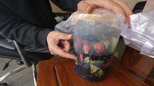 自制叶面肥的配方以及含量