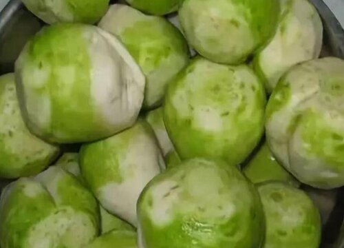 芥菜疙瘩亩产量多少斤