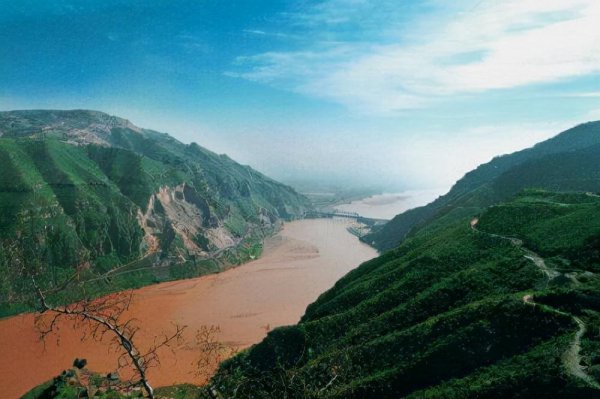 河津市属于哪个市