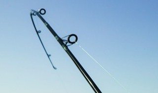 鲤鱼竿是什么意思 鲤鱼竿的意思是什么