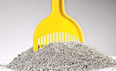 猫砂可以做肥料吗 使用过的猫砂用来栽种植物的方法