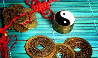 龟背竹禁忌摆放在什么方向 龟背竹的摆放禁忌