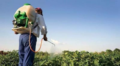 夏天喷洒农药注意事项 夏天喷药最好在早晨傍晚进行