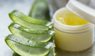 芦荟叶子怎么用 新鲜芦荟叶子怎么使用