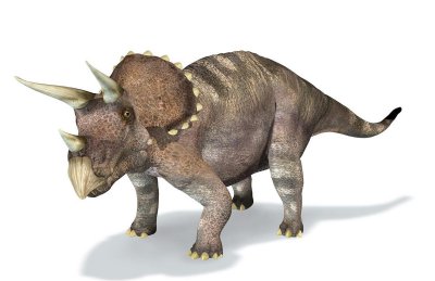 三角龙主要以什么为食物为主 可能以低高度植物为食