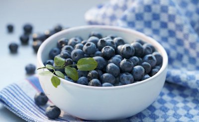 蓝莓树最喜欢的肥料是什么 老农分享蓝莓对肥料的需求特点