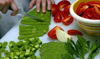 吃仙人掌有什么好处和坏处 吃仙人掌的好处和坏处介绍