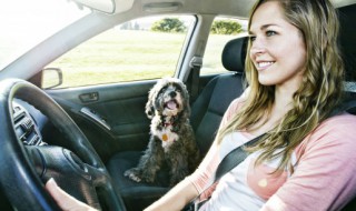 汽车需要注意哪些东西 汽车应该需要注意哪些东西