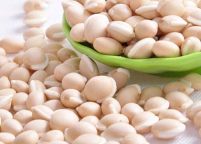 白扁豆是热性还是凉性 白扁豆属于热性还是凉性