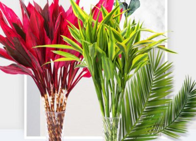 水养转运竹的养法 水养转运竹怎么养才能更旺盛