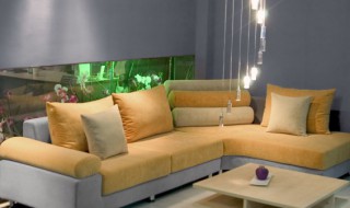 客厅里摆什么花好 客厅摆什么花比较好