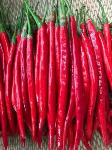 辣椒苗移栽后几天能打药 辣椒打药什么时间最佳