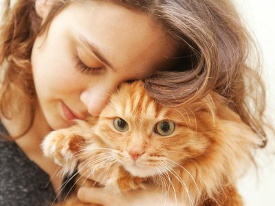 什么猫适合新手女生养 适合女生养的漂亮又好养的宠物猫