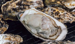 海蛎子和什么不能一起吃 海蛎子和什么食物不可以一起吃