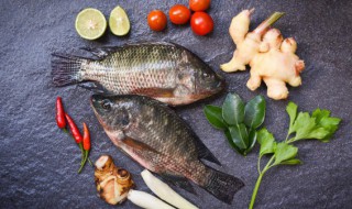 鱼和鸡蛋可以同时吃吗 鱼和鸡蛋能不能一起食用