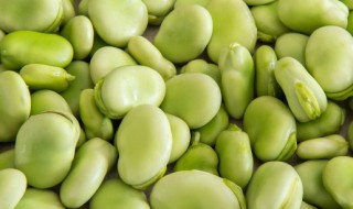 如何长久保存新鲜蚕豆 长久保存新鲜蚕豆有什么方法