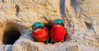 10部必看的bbc神级纪录片 五部顶级地理纪录片推荐