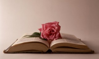 励志短句子十字霸气 10字霸气十足的励志正能量短句