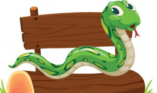 影视剧中常见的嘴吸蛇毒操作是正确的吗 影视剧中常见的嘴吸蛇毒操作可取吗