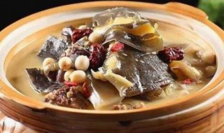 备孕可以吃甲鱼吗 备孕能不能吃甲鱼