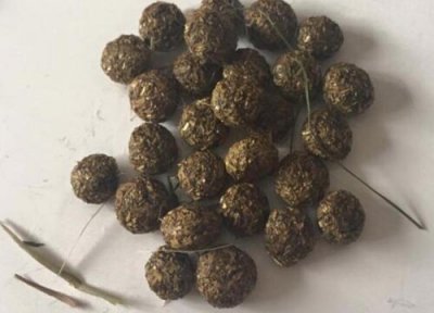 兔子的粪便做肥料 兔子的粪便可以做肥料吗