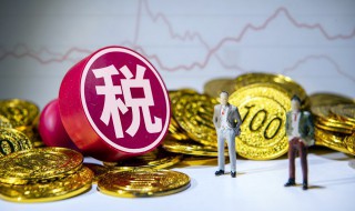 注册税务师协会主要做什么啊 注册税务师协会的简介