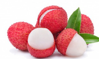 荔枝产地在哪里 荔枝产地主要在哪些地方