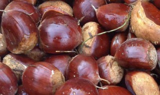 保存新鲜栗子小技巧 保存新鲜栗子有什么窍门