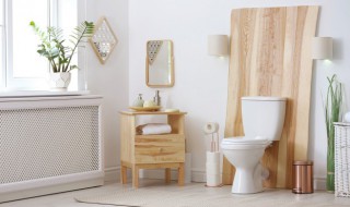 卫生间挂什么物件好 卫生间挂啥物件好