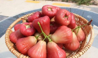 莲雾要放冰箱吗 莲雾是否要放冰箱保存