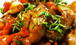 家常红烧鲶鱼段的做法 红烧鲶鱼段怎么做