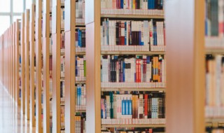 asics怎么读 asics的解释和发音