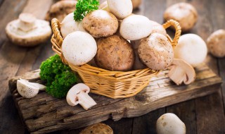 在家怎么种植口蘑 口蘑家庭养法