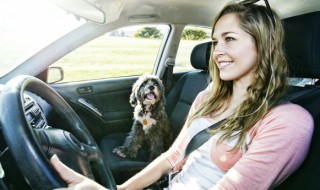 车里高级物件是什么 车里放置的几种高级物件