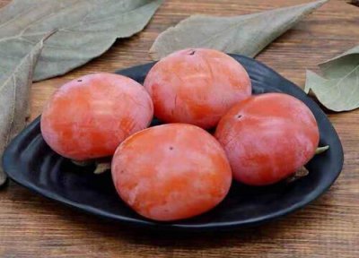 男怕柿女怕梨 猪怕西瓜皮什么意思? 男怕柿子女怕梨母猪最怕西瓜皮什么意思