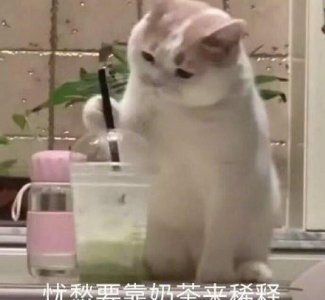 大学生兼职可以做什么线上 适合学生做的网上兼职工作