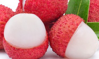 适合盆栽的品种荔枝有哪些 有哪些荔枝适合盆栽的品种