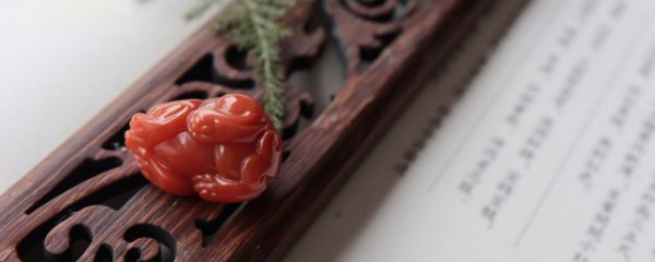 什么生肖不可以戴玉