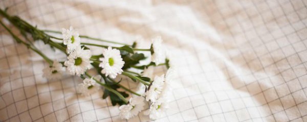 餐桌桌布用什么材质的好