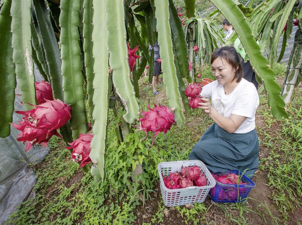 自己亲人搬家送什么礼物好