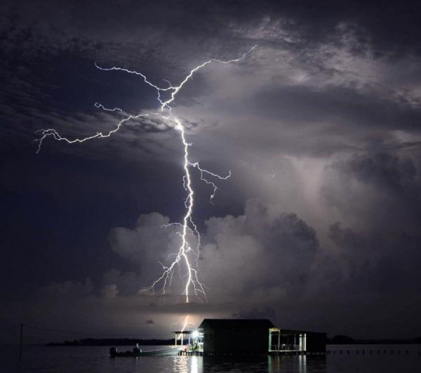 委内瑞拉国土面积和人口多少