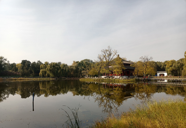 荣耀x30i手机测评分析