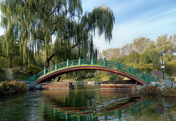 荣耀x30i手机测评分析