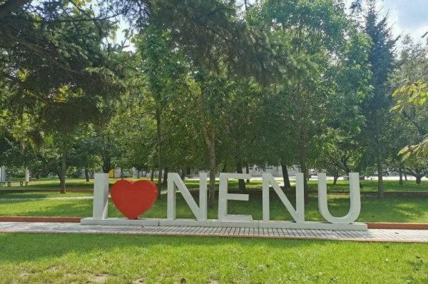 东北师范大学艺术类录取分数线