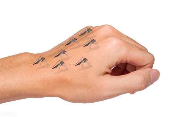 什么颜色不招蚊子